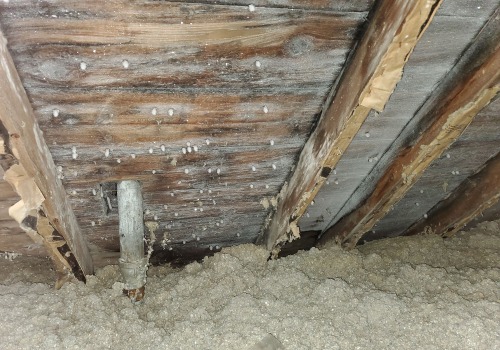 The Truth About Attic Insulation and Vapor Barriers